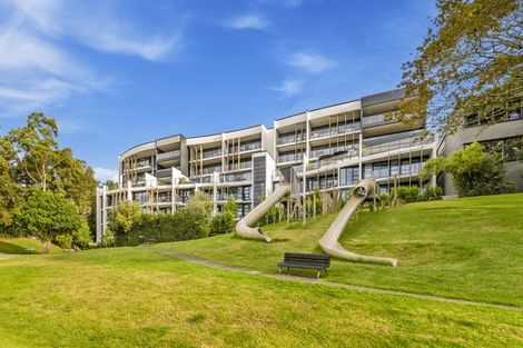 Photo of property in 305/8 Kingsland Terrace, Kingsland, Auckland, 1021