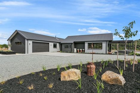 Photo of property in 343 Horahora Road, Piarere, Tirau, 3484