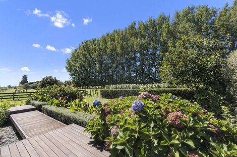 Photo of property in 396a Bruntwood Road, Matangi, Cambridge, 3493