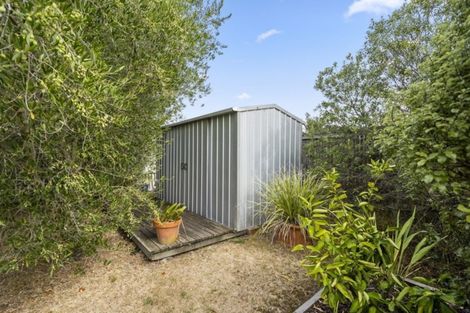 Photo of property in 6 Esther Street, Martinborough, 5711