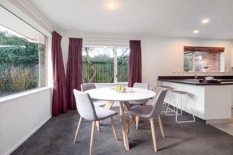 Photo of property in 3 Nina Lane, Somerfield, Christchurch, 8024