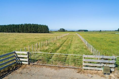 Photo of property in 172 Stewart Road, Feilding, 4479