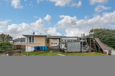 Photo of property in 50 Ellis Avenue, Mount Roskill, Auckland, 1041