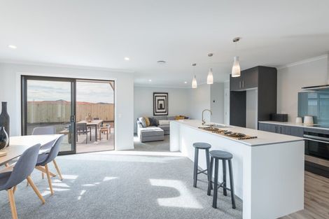 Photo of property in 104 Berryfield Drive, Appleby, Richmond, 7020