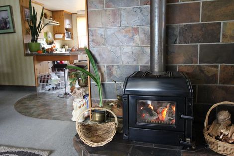 Photo of property in 172 Flora Road, Lumsden, 9730