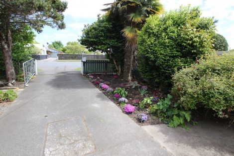 Photo of property in 156 Tiro Tiro Road, Levin, 5510