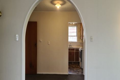 Photo of property in 217e Ruahine Street, Roslyn, Palmerston North, 4414