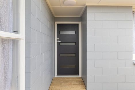 Photo of property in 58 Alexander Street, Awapuni, Palmerston North, 4412