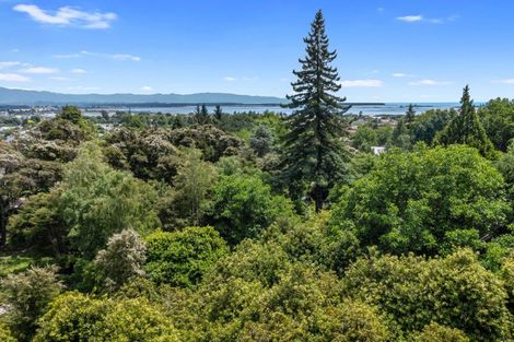 Photo of property in 51 Selbourne Avenue, Richmond, 7020