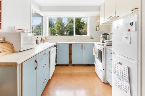 Photo of property in 21 Pearsons Avenue, Claudelands, Hamilton, 3214