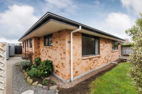 Photo of property in 15 King Street, Feilding, 4702