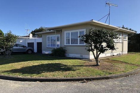 Photo of property in 8 Windsor Place, Levin, 5510