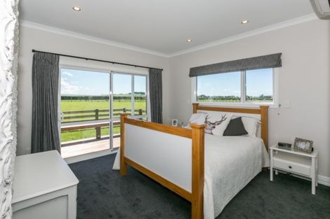 Photo of property in 203 Kereru Road, Maraekakaho, 4171