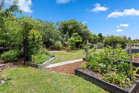 Photo of property in 51 Aotea Crescent, Tokoroa, 3420
