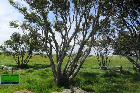 Photo of property in 4-8 Alcemene Lane, Baylys Beach, Dargaville, 0377