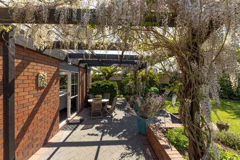 Photo of property in 16 Patricia Place, Harewood, Christchurch, 8051