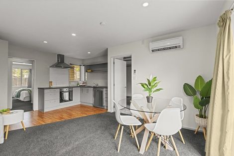 Photo of property in 12a Walpole Street, Waltham, Christchurch, 8023