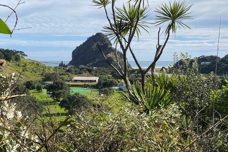 Photo of property in 52 Seaview Road, Piha, 0772