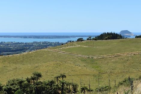 Photo of property in 596 Minden Road, Minden, Tauranga, 3176