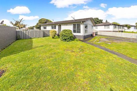 Photo of property in 342 Roscommon Road, Clendon Park, Auckland, 2103