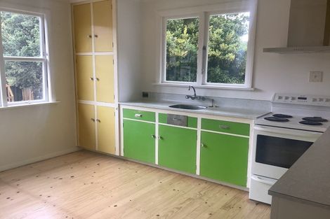 Photo of property in 6 Smith Street, Roxburgh, 9500