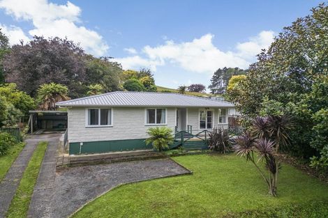 Photo of property in 169 Arapuni Street, Putaruru, 3411