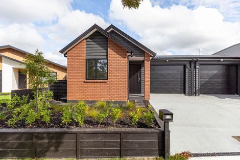 Photo of property in 2/2 Meridian Place, Flagstaff, Hamilton, 3210