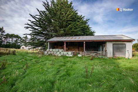 Photo of property in 110 Taieri Mouth Road, Kuri Bush, Brighton, 9091