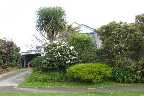 Photo of property in 27 Argyle Avenue, Levin, 5510