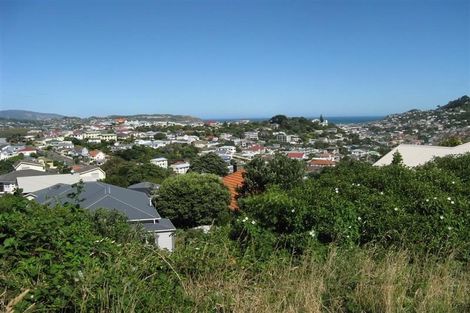Photo of property in 121 Rakau Road, Hataitai, Wellington, 6021