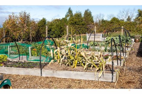 Photo of property in 56 Greenvale Road, Geraldine, 7991