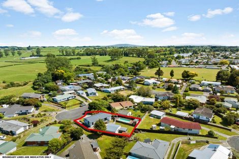 Photo of property in 39 Waianiwa Place, Tokoroa, 3420