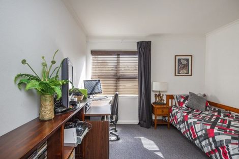 Photo of property in 28a Heatley Avenue, Hokowhitu, Palmerston North, 4410