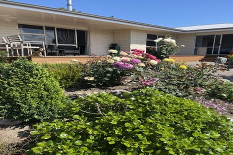 Photo of property in 7 Campbell Street, Geraldine, 7930