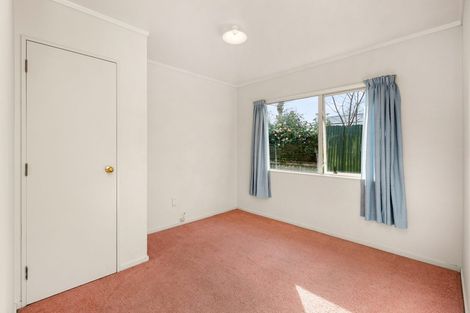 Photo of property in 195 Dey Street, Hamilton East, Hamilton, 3216