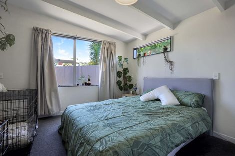 Photo of property in 231 Dobson Street, Hampstead, Ashburton, 7700