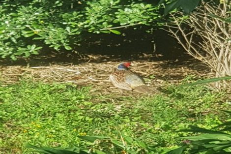 Photo of property in 150 Wirihana Road, Hawera, 4674