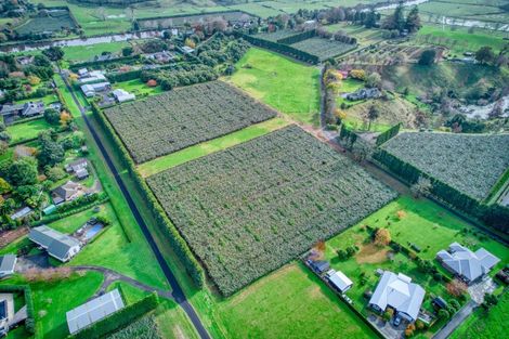 Photo of property in 36 Echo Valley Way, Tauriko, Tauranga, 3110