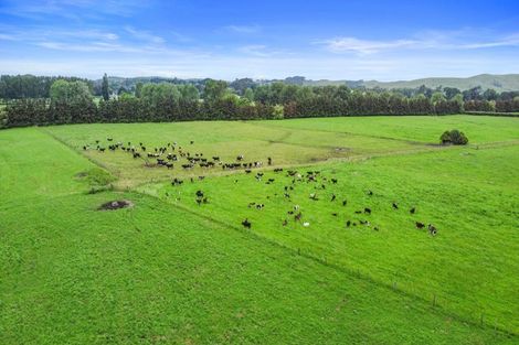 Photo of property in 1887b State Highway 26, Motumaoho, Morrinsville, 3372