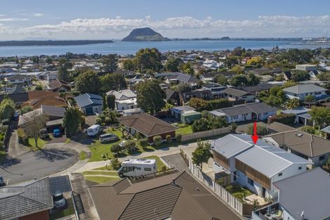 Photo of property in 6a Longwood Lane, Otumoetai, Tauranga, 3110
