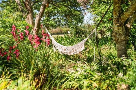 Photo of property in 472 Upper Plain Road, Upper Plain, Masterton, 5888