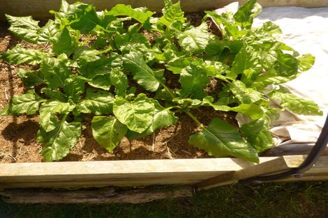 Photo of property in 33 Gloucester Street, Patea, 4520