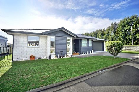 Photo of property in 14a No 2 Road, Te Puke, 3119