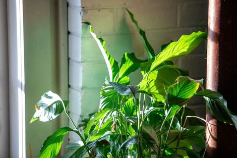 Photo of property in 147 Renown Road, Waikokowai, Huntly, 3771