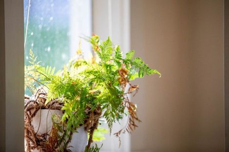 Photo of property in 147 Renown Road, Waikokowai, Huntly, 3771