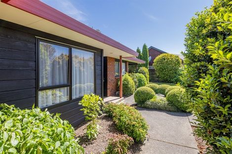 Photo of property in 5 Cedar Drive, Paraparaumu Beach, Paraparaumu, 5032