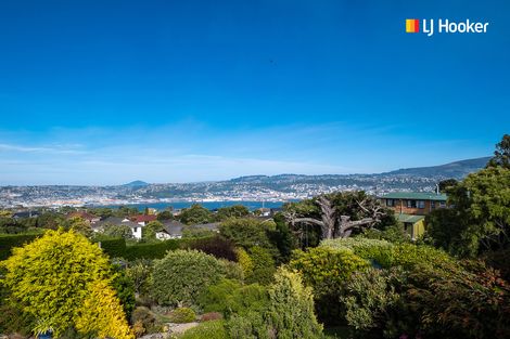 Photo of property in 115 Belford Street, Waverley, Dunedin, 9013