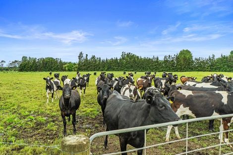 Photo of property in 1887b State Highway 26, Motumaoho, Morrinsville, 3372