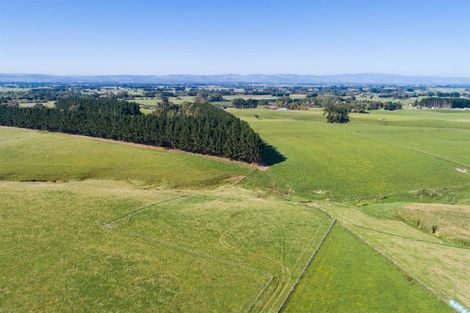 Photo of property in 172 Stewart Road, Feilding, 4479