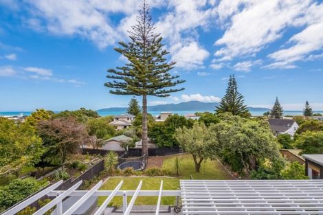 Photo of property in 17 Douglas Street, Paraparaumu Beach, Paraparaumu, 5032
